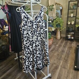 The Limited swing dress